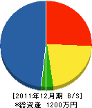 島津建築事務所 貸借対照表 2011年12月期
