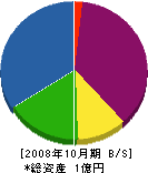 東豊建設 貸借対照表 2008年10月期
