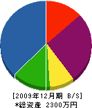 永松組 貸借対照表 2009年12月期