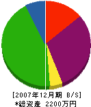鹿島電気水道設備 貸借対照表 2007年12月期