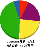 柴田組 貸借対照表 2009年9月期
