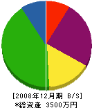 辻組 貸借対照表 2008年12月期