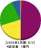アオキ電気 貸借対照表 2008年8月期