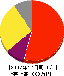 丸山電気商会 損益計算書 2007年12月期