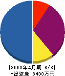 川名塗装店 貸借対照表 2008年4月期