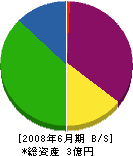 平田工業 貸借対照表 2008年6月期