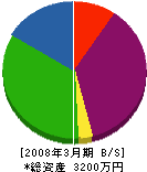 佐沼商事 貸借対照表 2008年3月期
