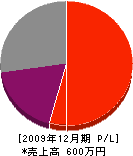 島崎重夫 損益計算書 2009年12月期