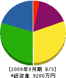 川村組 貸借対照表 2009年9月期
