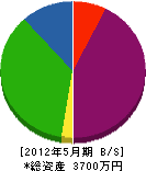 篠田造園土木 貸借対照表 2012年5月期