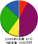 湊硝子店 貸借対照表 2008年6月期