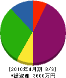 坂井興業 貸借対照表 2010年4月期