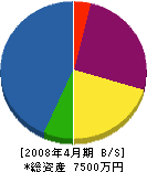 田部組 貸借対照表 2008年4月期