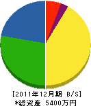 小寺塗装店 貸借対照表 2011年12月期