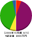 井内建商 貸借対照表 2008年10月期