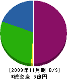 アサノ建設 貸借対照表 2009年11月期