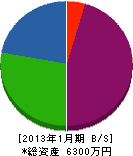 ミヤタケ塗装 貸借対照表 2013年1月期