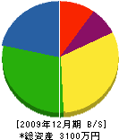 山田建設 貸借対照表 2009年12月期 山田建設 貸借対照表 2009年12月期