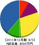 下川建設 貸借対照表 2011年12月期
