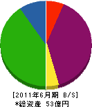 東日本ダイワ 貸借対照表 2011年6月期