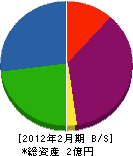 辻本開発 貸借対照表 2012年2月期