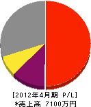 斉藤建設 損益計算書 2012年4月期