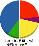 大濱建設 貸借対照表 2011年6月期