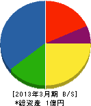 櫻井工業所 貸借対照表 2013年3月期