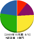 山川建設 貸借対照表 2009年10月期