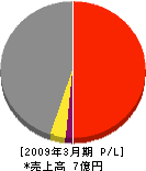岐阜アイシー 損益計算書 2009年3月期