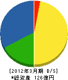 日本写真判定 貸借対照表 2012年3月期