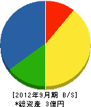 坂倉水道 貸借対照表 2012年9月期