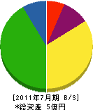 上村建材店土木 貸借対照表 2011年7月期