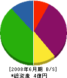 石川建設 貸借対照表 2008年6月期