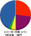 横井商店 貸借対照表 2011年1月期