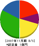 中島興業 貸借対照表 2007年11月期