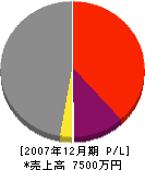 松本組 損益計算書 2007年12月期