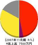 東海浄水工業太田組 損益計算書 2007年11月期
