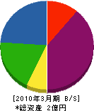 心拓 貸借対照表 2010年3月期