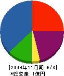 清栄組 貸借対照表 2009年11月期