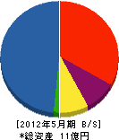 塚田電気工事 貸借対照表 2012年5月期