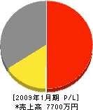 ジャパン工業 損益計算書 2009年1月期