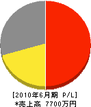 関谷セメント工業 損益計算書 2010年6月期