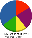 丸田組 貸借対照表 2010年10月期