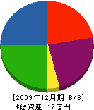石田造船 貸借対照表 2009年12月期