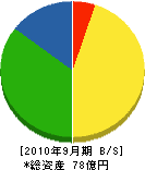 桜井建設 貸借対照表 2010年9月期