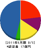 長野工務店 貸借対照表 2011年6月期