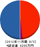 オリジンジャパン 貸借対照表 2012年11月期