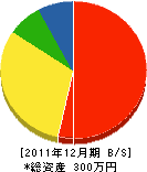 小野山電気商会 貸借対照表 2011年12月期