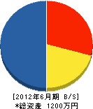 西日本シビル 貸借対照表 2012年6月期